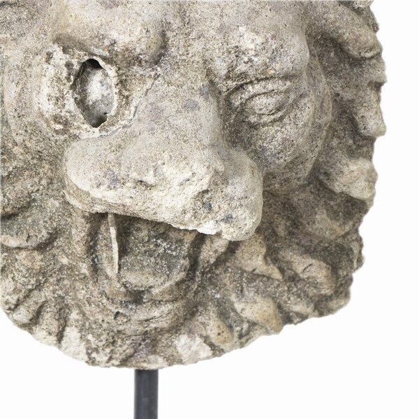 Lion Head